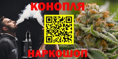 a pvp Рыбинск